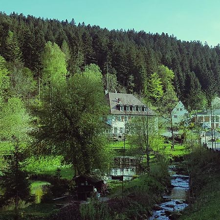 Gut Lauterbad Hotel Фройденщат Екстериор снимка