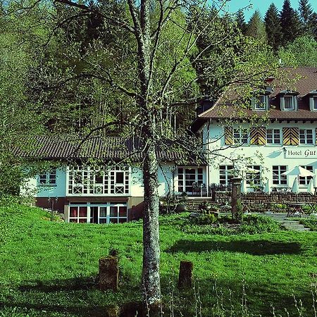 Gut Lauterbad Hotel Фройденщат Екстериор снимка