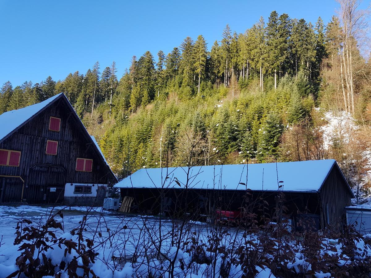 Gut Lauterbad Hotel Фройденщат Екстериор снимка