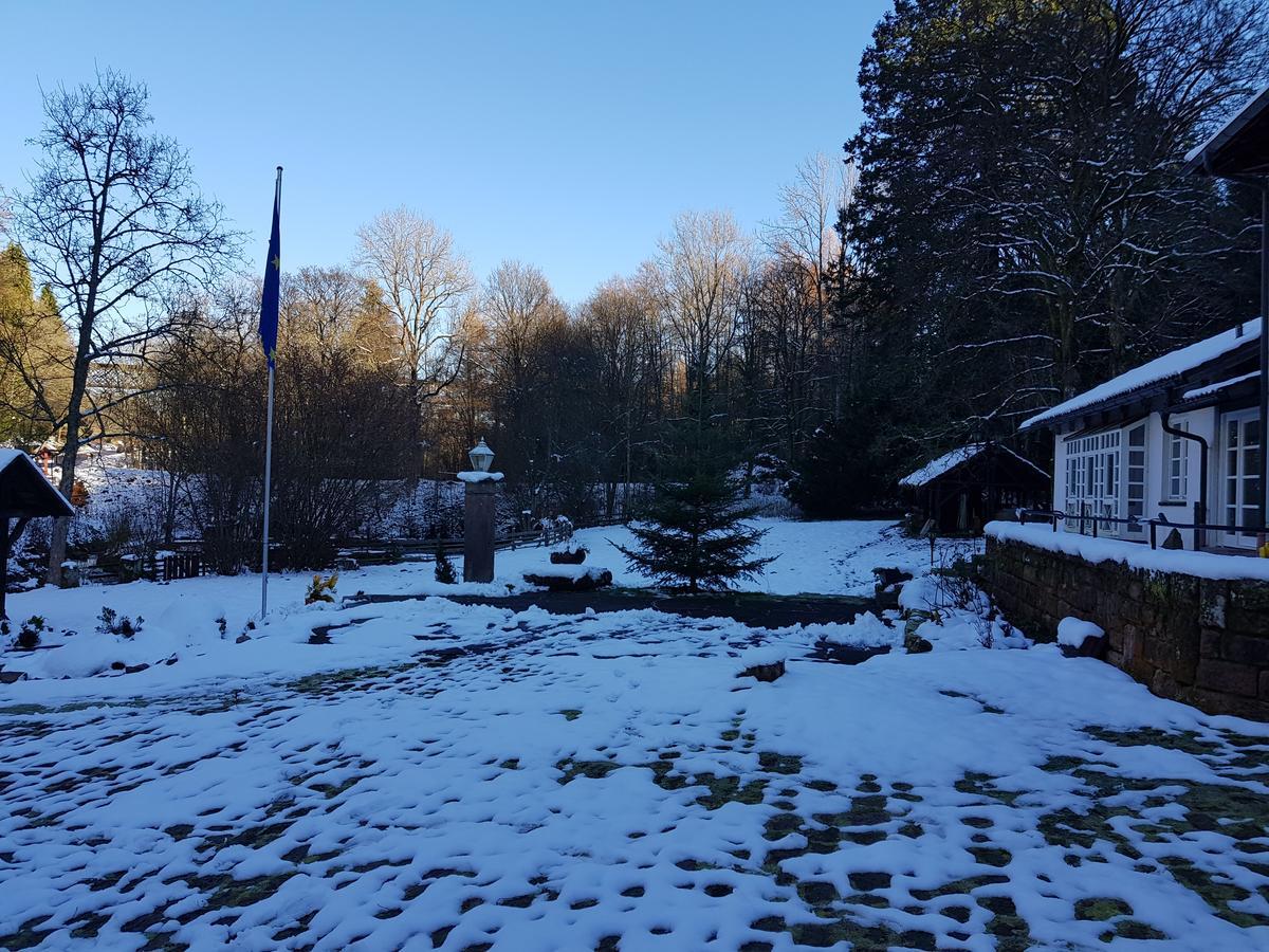 Gut Lauterbad Hotel Фройденщат Екстериор снимка