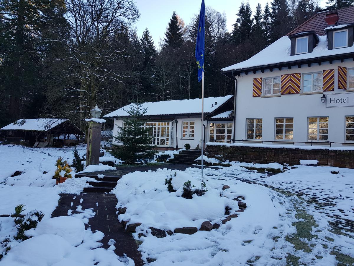 Gut Lauterbad Hotel Фройденщат Екстериор снимка