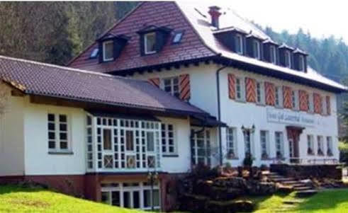 Gut Lauterbad Hotel Фройденщат Екстериор снимка