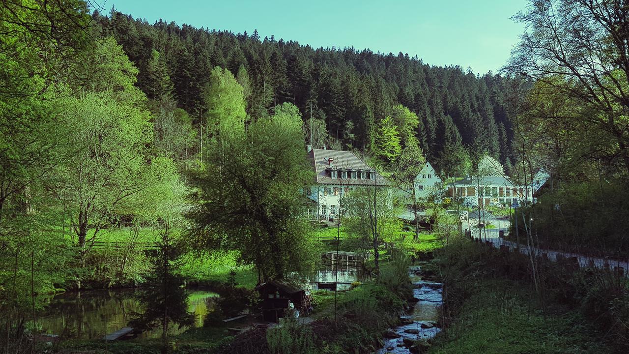 Gut Lauterbad Hotel Фройденщат Екстериор снимка