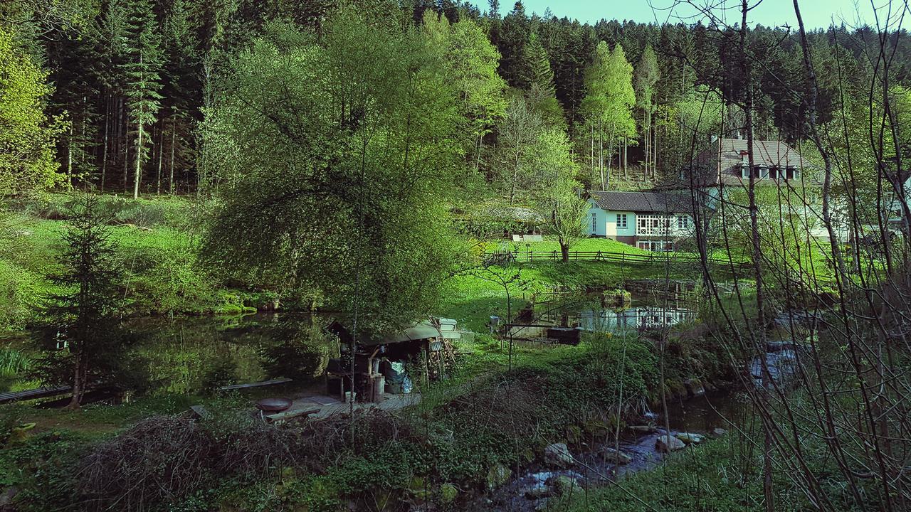 Gut Lauterbad Hotel Фройденщат Екстериор снимка