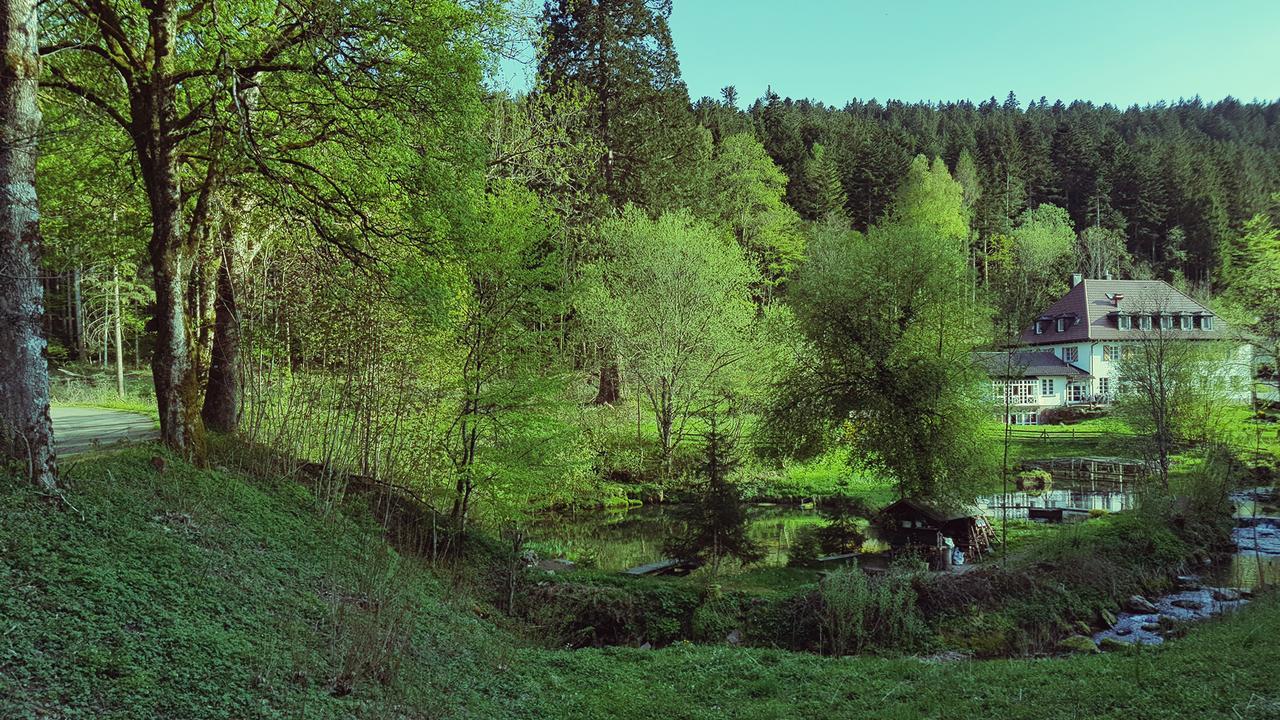 Gut Lauterbad Hotel Фройденщат Екстериор снимка